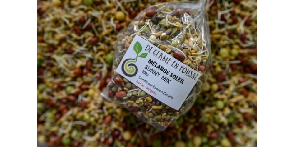 Sunny Mix organic sprouts